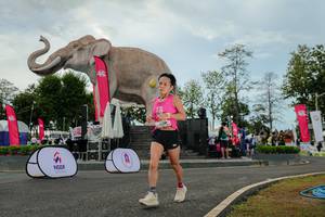 BIB: 
                            <button type="button" onclick="openModal(26528850)" class="btn btn-primary btn-sm float-right btn-popup" data-toggle="modal" data-target=".modal-high-quality">
                        <i class="fas fa-shopping-cart"></i> Add to Cart
                    </button>
                                            <button type="button" onclick="isThisMe(26528850, true)" class="btn btn-success btn-sm float-right btn-popup btn-isme hidden" data-toggle="tooltip" data-placement="bottom" title="นี่คือรูปของคุณใช่ไหม คลิกที่นี่เพื่อเอาเข้าอัลบั้ม">
                        <i class="fas fa-plus"></i> Add to album
                    </button>
                    <button type="button" onclick="isThisMe(26528850, false)" class="btn btn-warning btn-sm float-right btn-popup btn-isnotme hidden">
                        <i class="fas fa-ban"></i> Remove from album
                    </button>